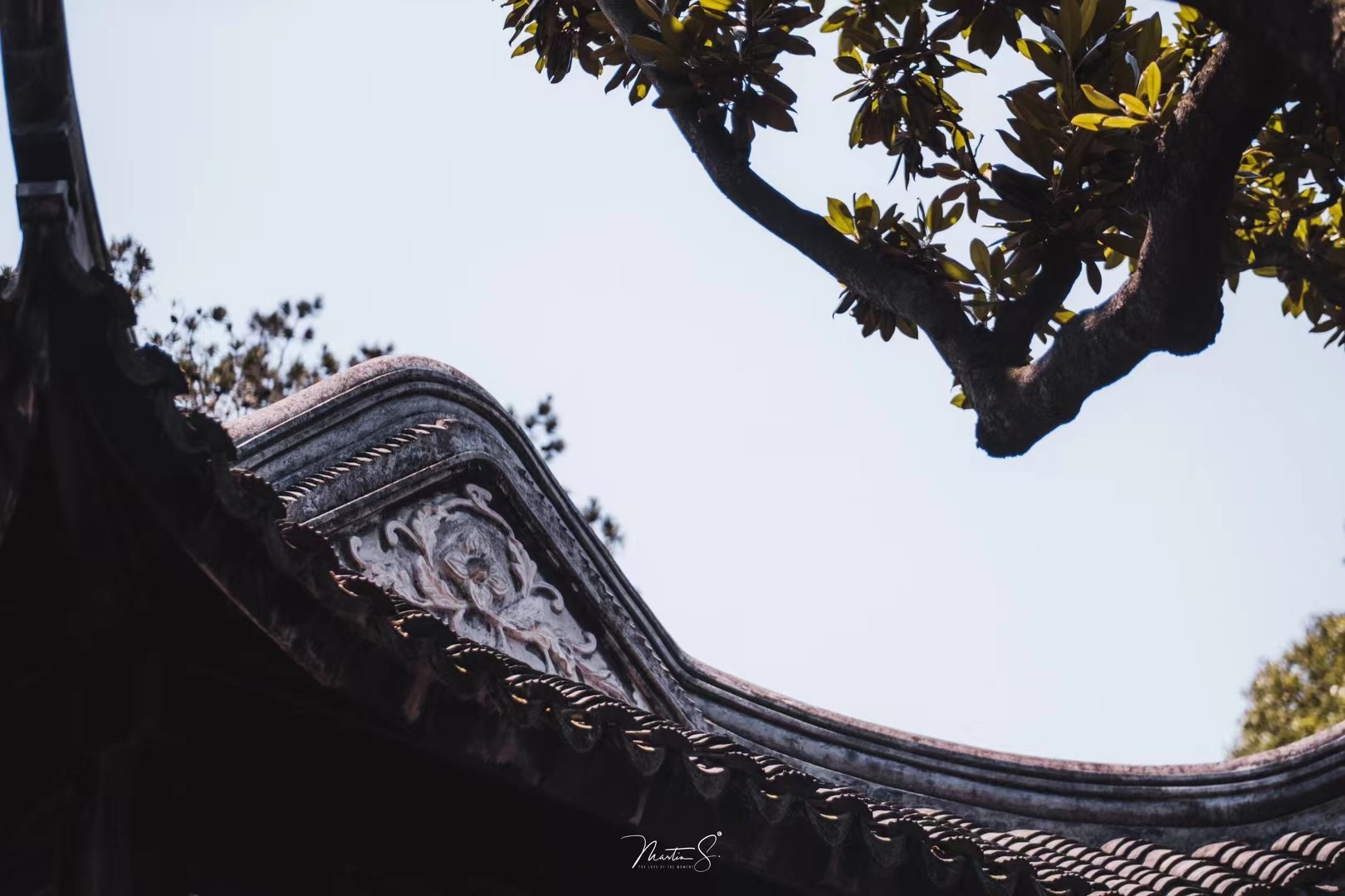 知名摄影师眼中的苏州是什么样子？_fororder_微信图片_202107061759307