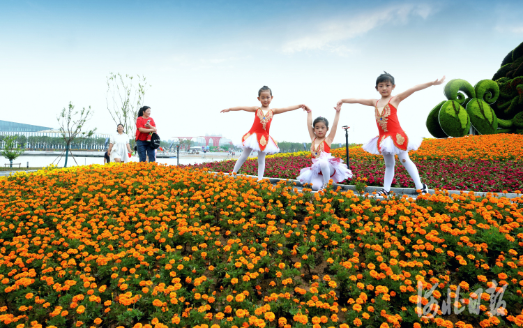河北唐山:唐山园博园邀您游花海