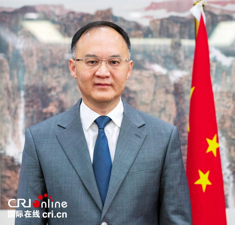 中国驻巴大使农融：中国对巴基斯坦援助65年 授人以鱼更授人以渔_fororder_中国驻巴大使农融