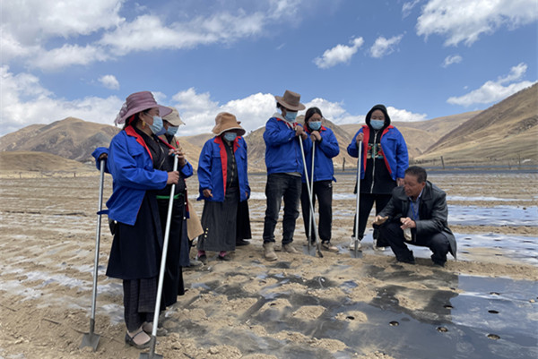 การเกษตรทันสมัยนำชีวิตมั่งคั่งสู่ชาวที่ราบสูง_fororder_WechatIMG176