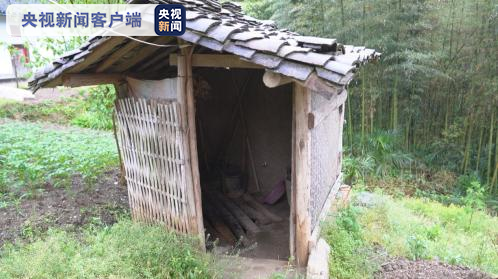 图片默认标题_fororder_13