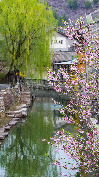 图片默认标题_fororder_1125889890_15875247723361n