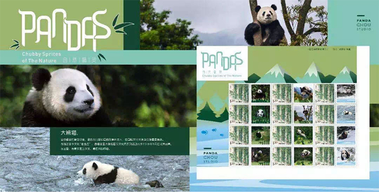 Sichuan Giant Panda Culture and Tourism Week 2021 will be launched in Macao on July 9_fororder_大熊猫4