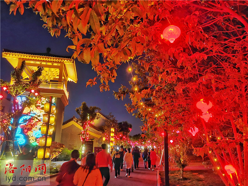 Night Tour of Longmen Ancient Street to Appreciate Charms of Luoyang_fororder_图片2