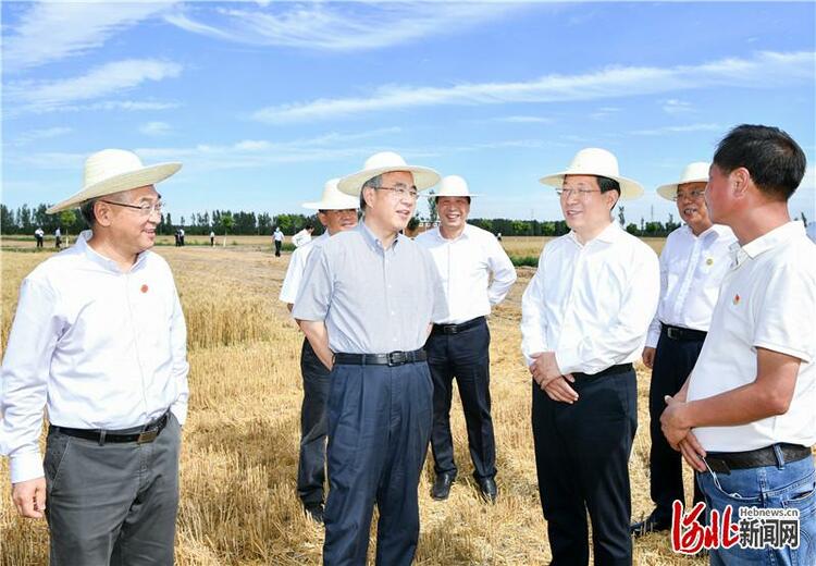 （wxb指令）胡春華在河北督導“三夏”農業生産工作