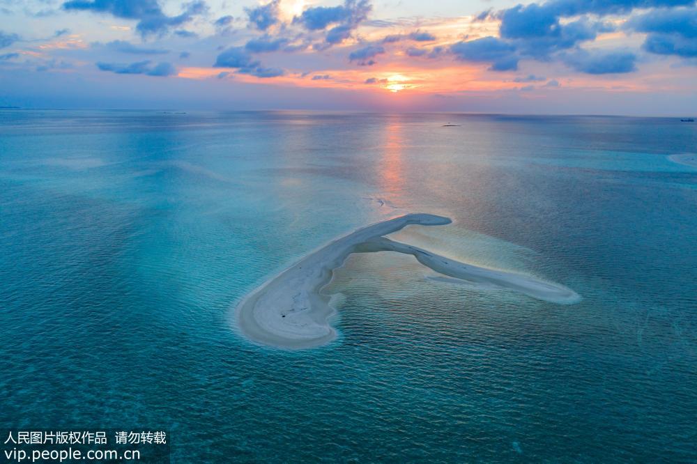 自然画笔 梦幻西沙