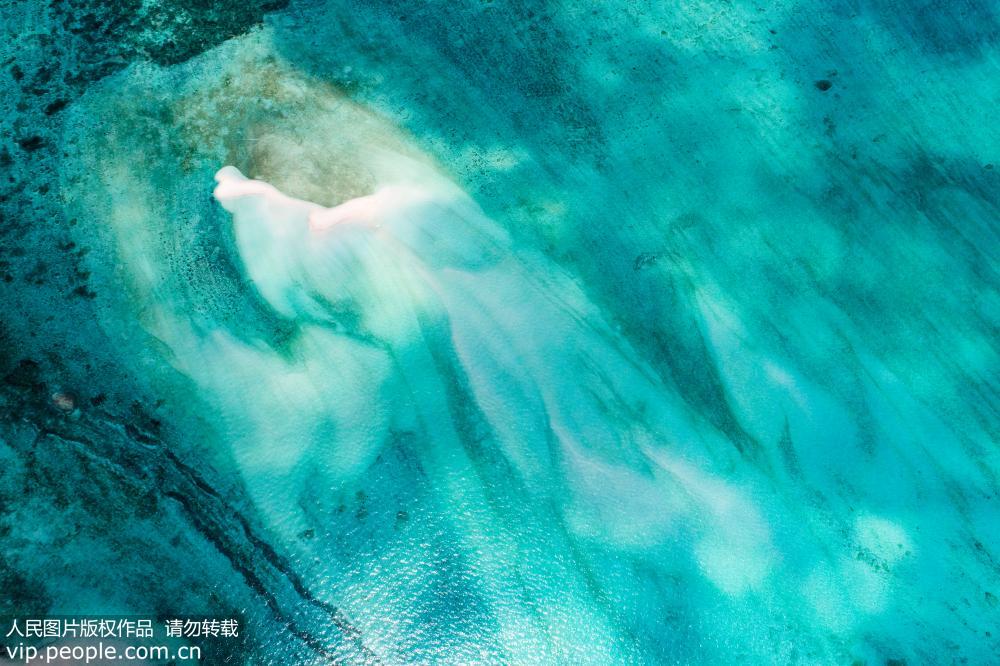 自然画笔 梦幻西沙