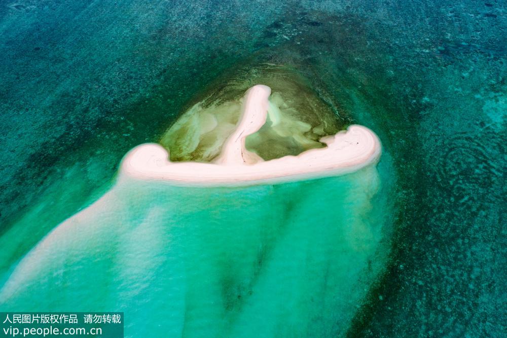 自然画笔 梦幻西沙