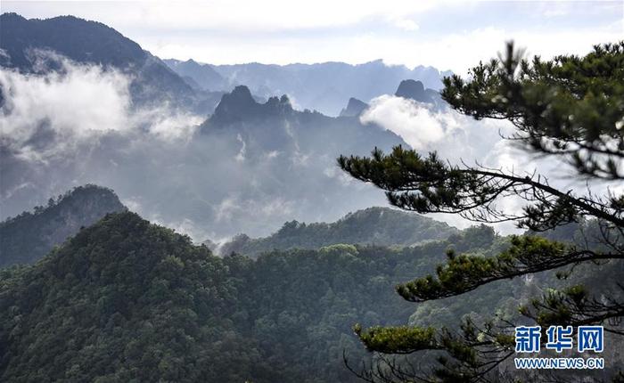 图片默认标题_fororder_CqgNOlzweqCAIeF_AAAAAAAAAAA423.899x552