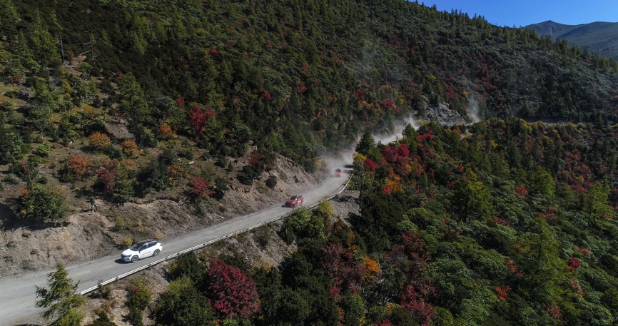 圖片默認標題_fororder_image009