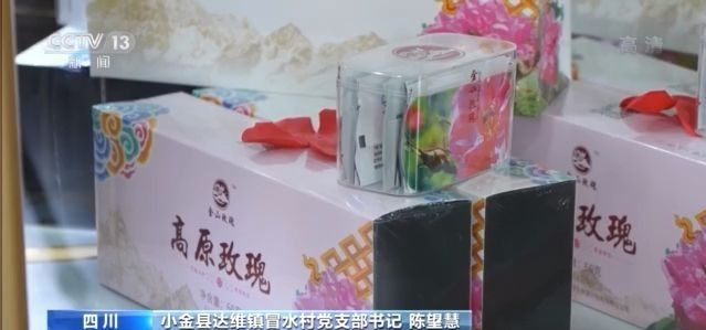 玫瑰花铺出致富路 这个小县城花香四溢→