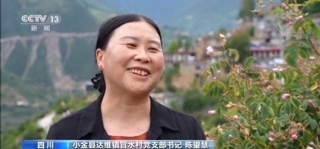 玫瑰花铺出致富路 这个小县城花香四溢→