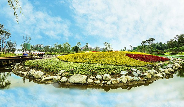 图片默认标题_fororder_FR2