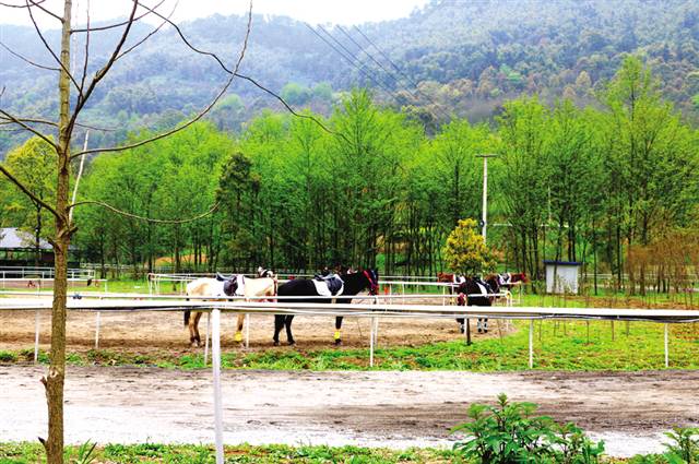 【区县联动】【沙坪坝】沙坪坝 改善人居环境 留住田园乡愁