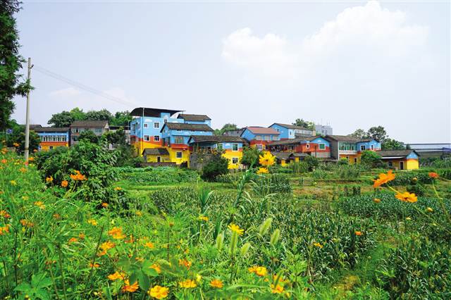 【区县联动】【沙坪坝】沙坪坝 改善人居环境 留住田园乡愁