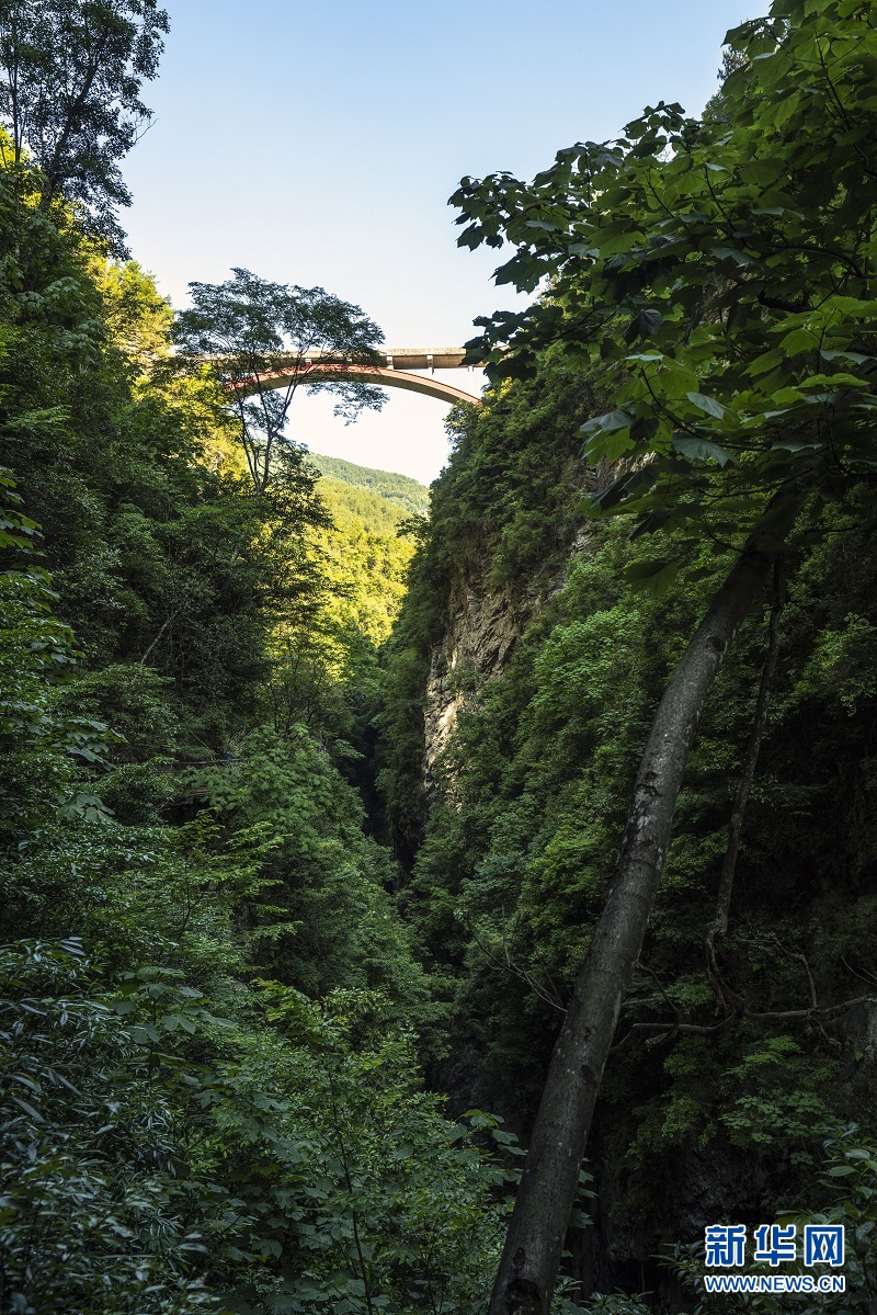 夏日地心谷 綠水青山入畫來