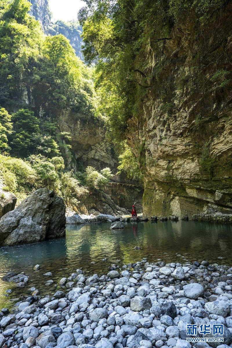 夏日地心谷 綠水青山入畫來