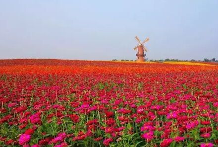 90%都免费！合肥春天最美的十条游玩线路全攻略！