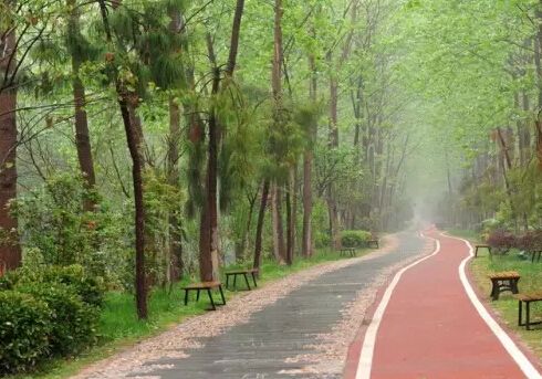 90%都免费！合肥春天最美的十条游玩线路全攻略！