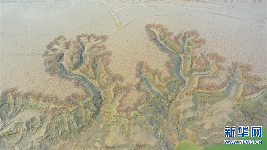 震撼！黃河灘上的巨幅“浮雕版畫”