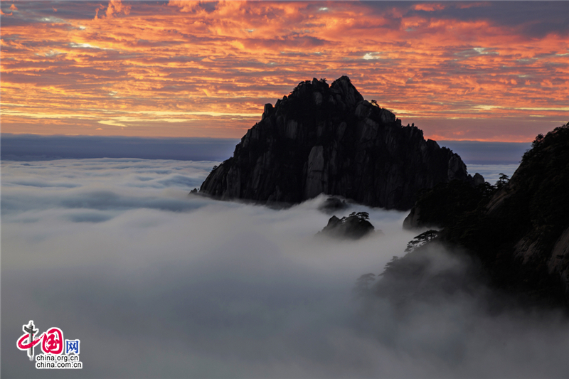 秋觀雲海 用身心體味黃山的自然神奇