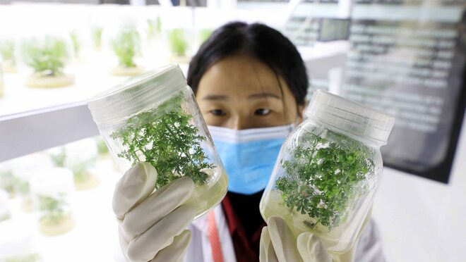 Pagpawi sa malaria, malaking ambag ng Tsina sa kalusugan ng sangkatauhan at progreso ng karapatang pantao sa daigdig_fororder_20210701Malaria2