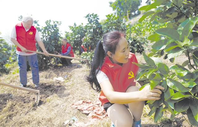 【区县联动】【万州】万州区把党建的活力转化为脱贫攻坚的动力