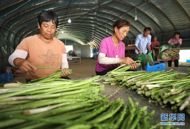 Tuaian Gabungan Penanaman dengan Pembiakan_fororder_6b