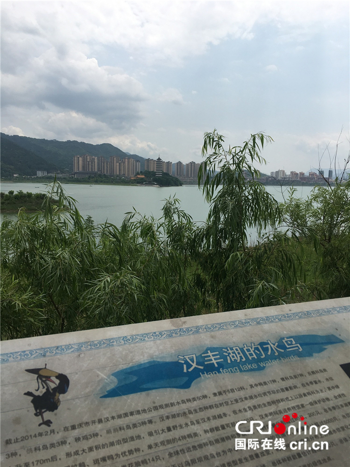 【CRI专稿 列表】【壮丽70年·奋斗新时代】重庆开州：营造环境 守护候鸟