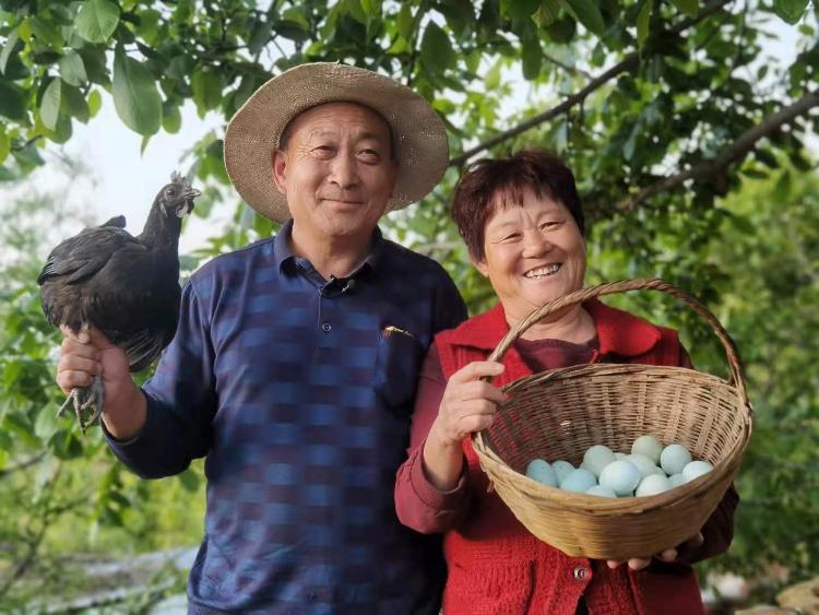 围绕一口老井 讲好一个故事 大众网·海报新闻作品《老井新生》刷屏了