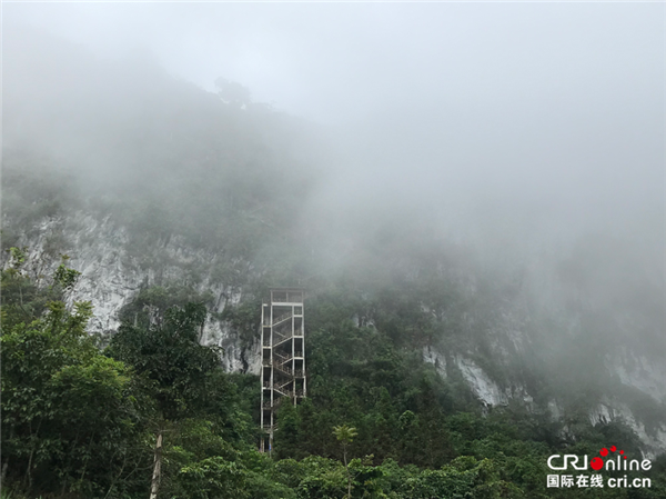百色那坡县：垂直悬崖上的“天梯”巡逻路