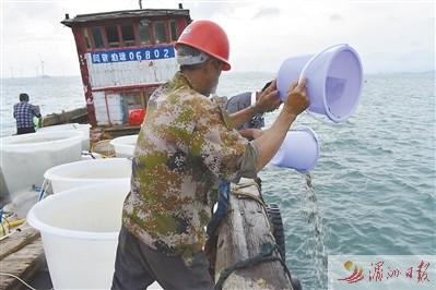 用好海资源 做好海文章——秀屿区积极探寻海洋渔业经济与海洋生态文明协调发展之路