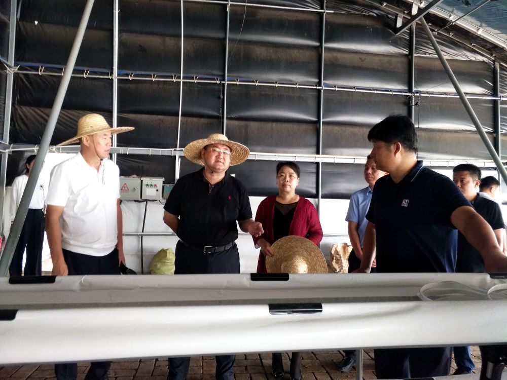 新时代优秀县委书记风采 | 旱地拼出现代农业“高地”——记山西省晋中市太谷区委书记刘伟