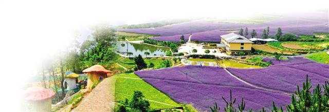 【渝情渝景】平湖万州 秋色醉人不思归 【渝情渝景】平湖万州 秋色醉人不思归