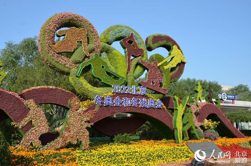 京城花团锦簇 引得市民观赏拍照