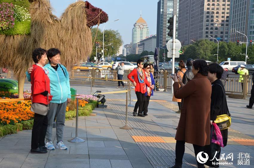 京城花團錦簇 引得市民觀賞拍照