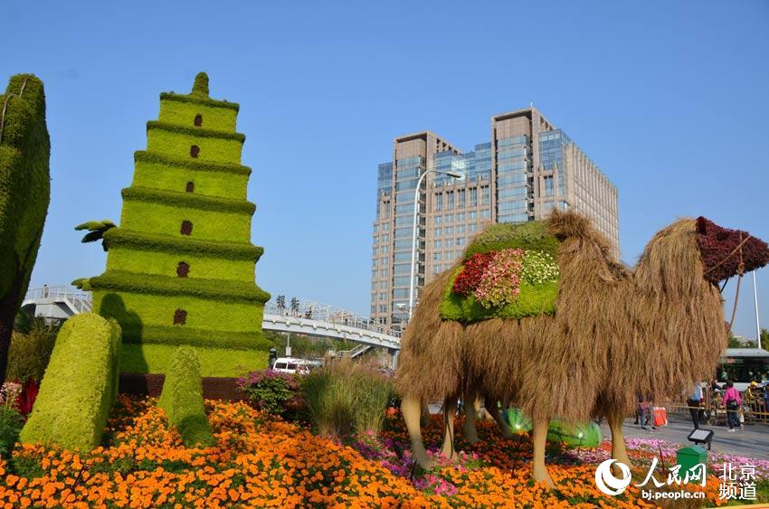 京城花團錦簇 引得市民觀賞拍照