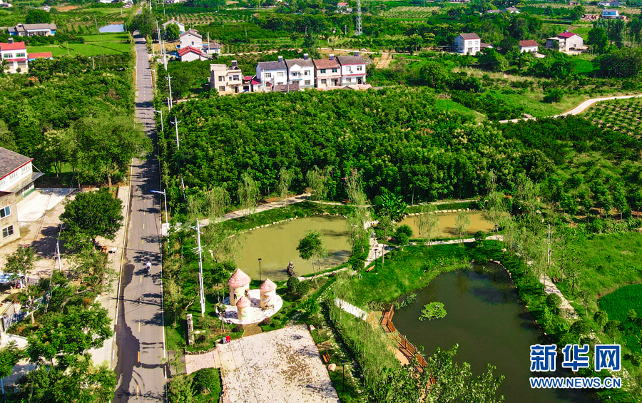 开着汽车看乡村丨村村有公路 一路一风景