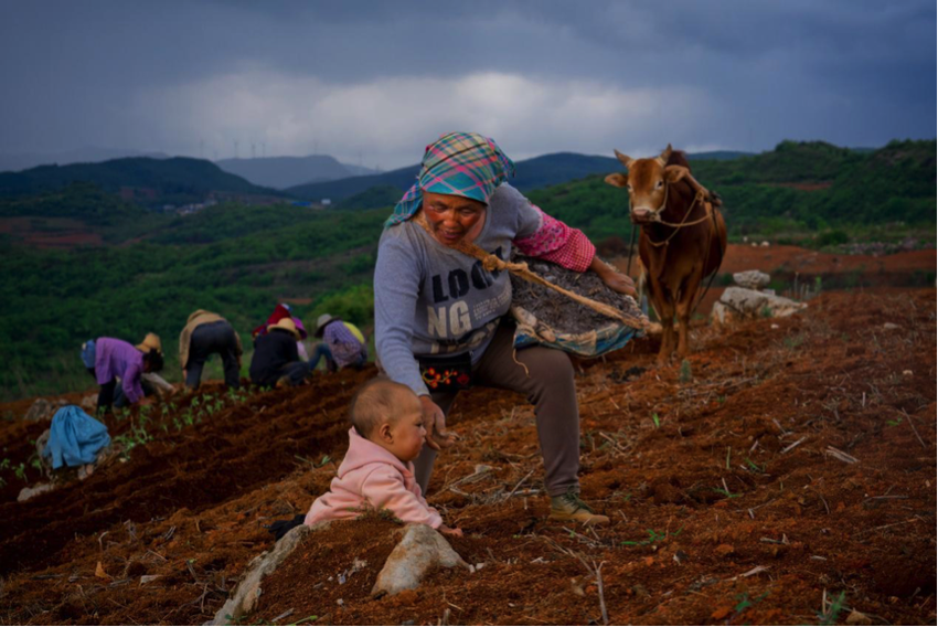 图片默认标题_fororder_1