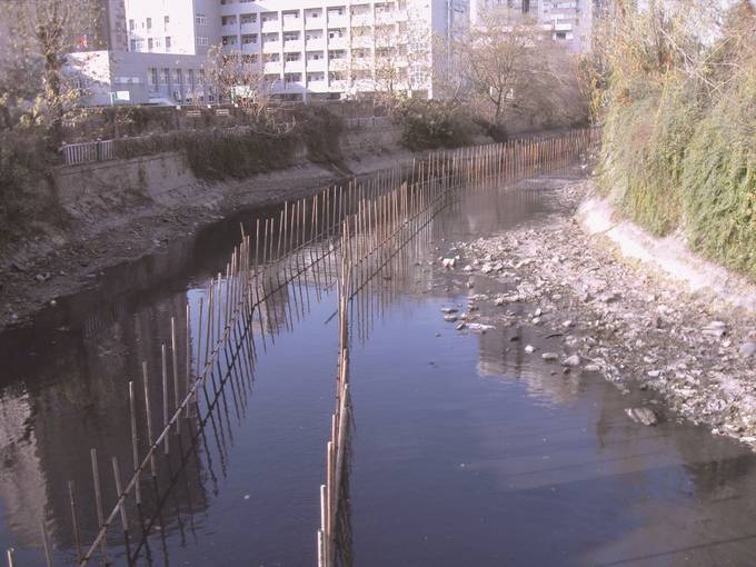 江苏全省河湖“两违三乱”专项整治维护河湖健康生命