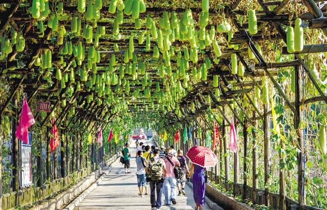 【区县联动】【綦江】綦江 建设宜居宜业宜游美丽乡村