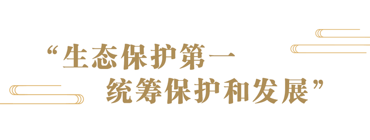 守护遗产瑰宝，推动文明对话