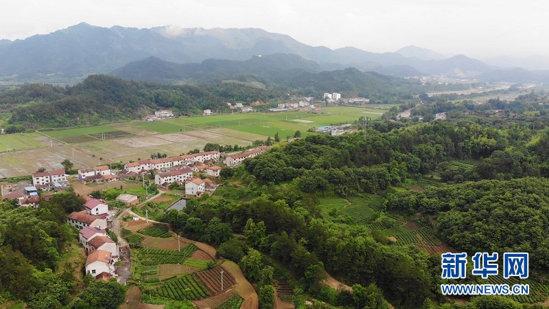 湖北英山：美丽乡村绘就幸福画卷