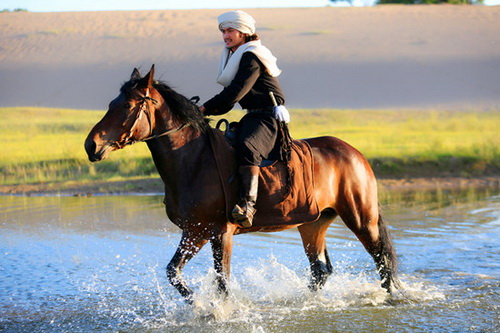《解忧公主》圆满收官 袁弘好剧接档精彩不停
