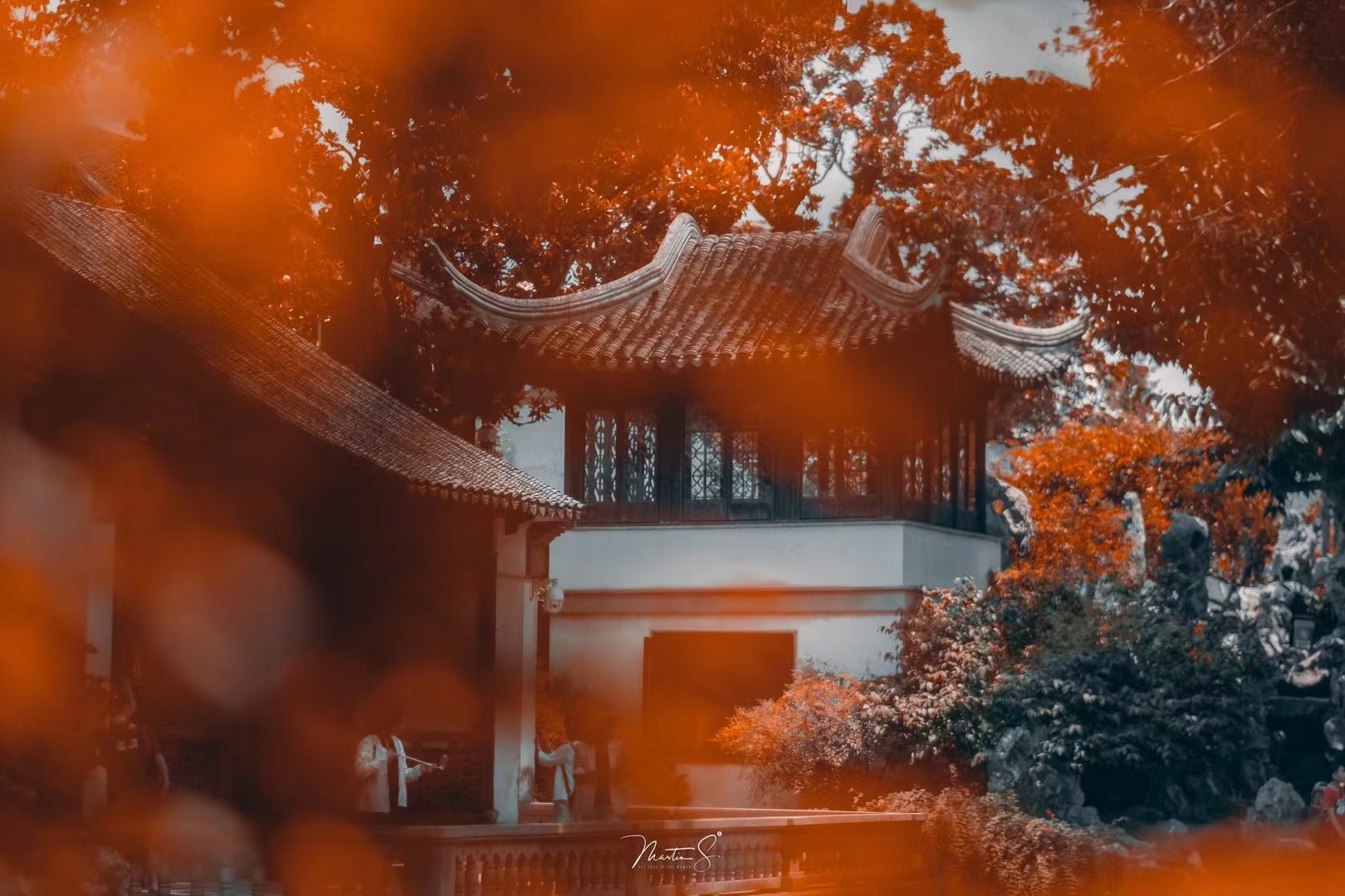 知名摄影师眼中的苏州是什么样子？_fororder_微信图片_202107061759301