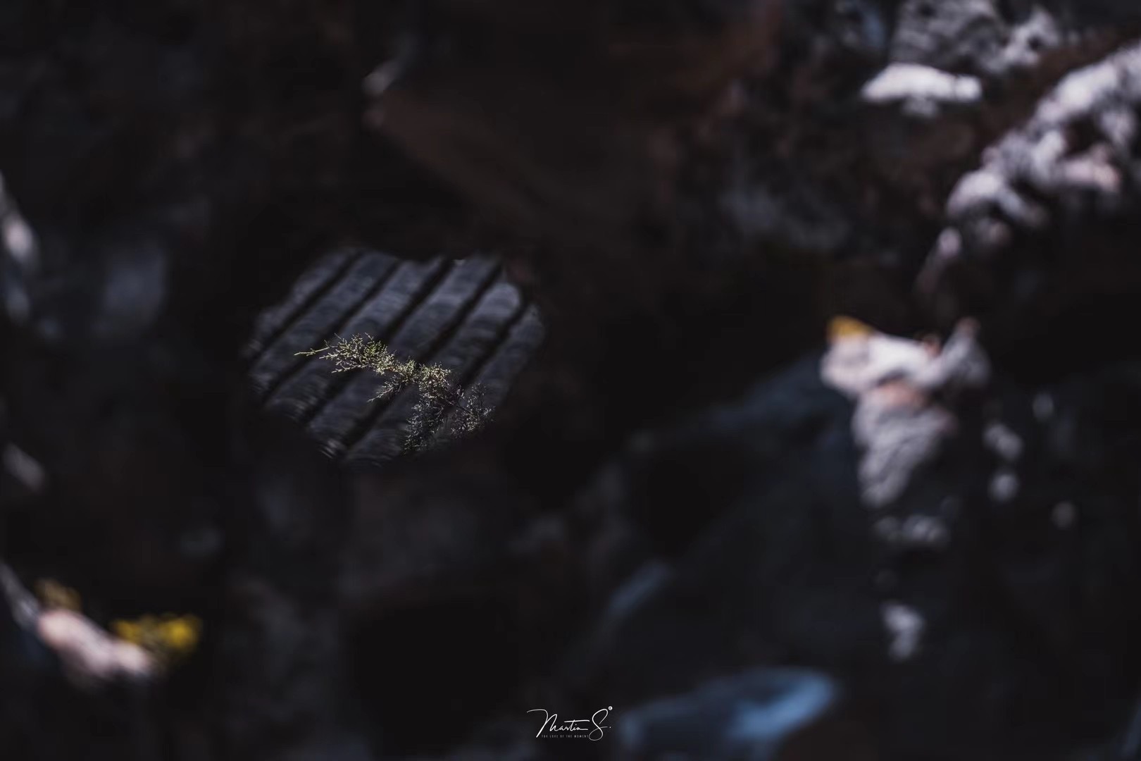 知名摄影师眼中的苏州是什么样子？_fororder_微信图片_202107061759306