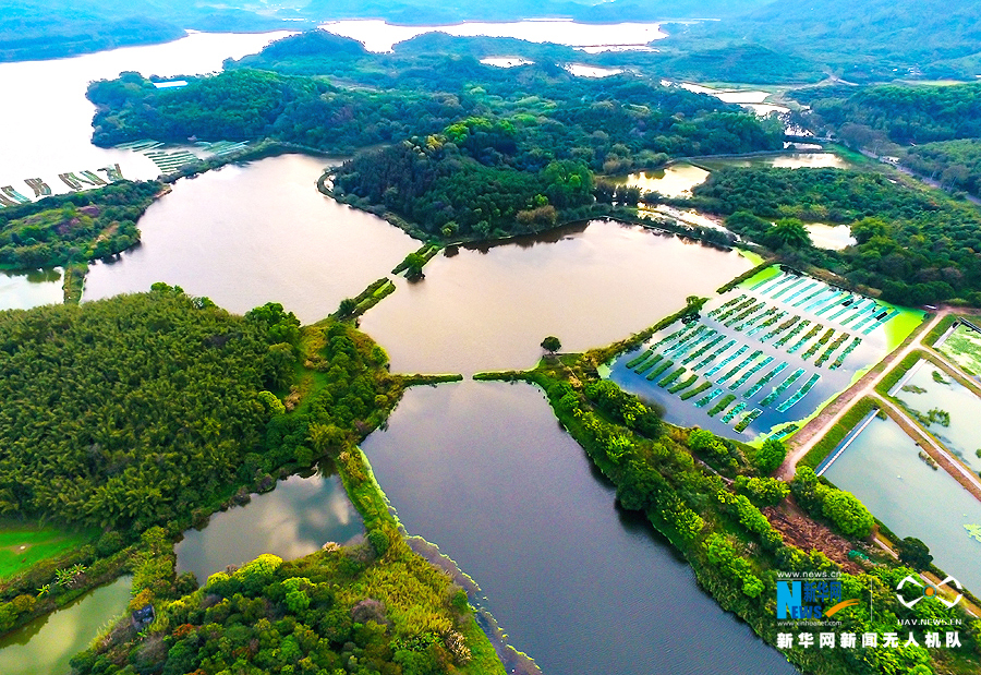 航拍東莞同沙生態公園 綠意浸染美如畫