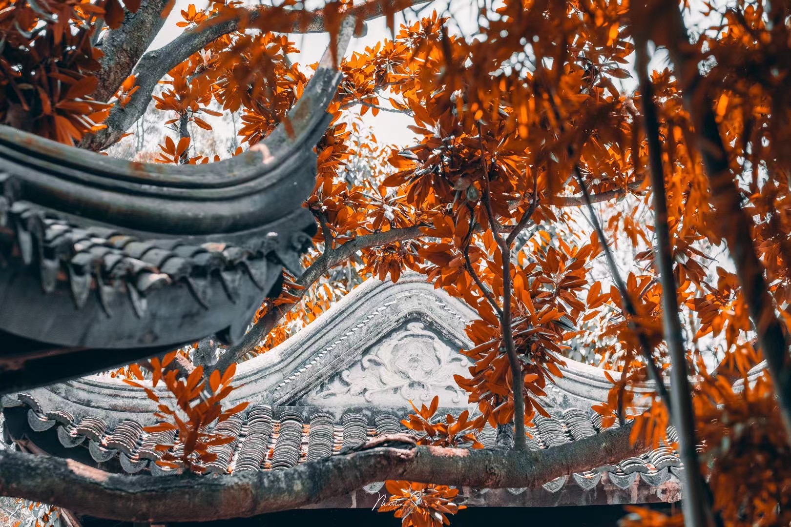 知名摄影师眼中的苏州是什么样子？_fororder_微信图片_202107061759302