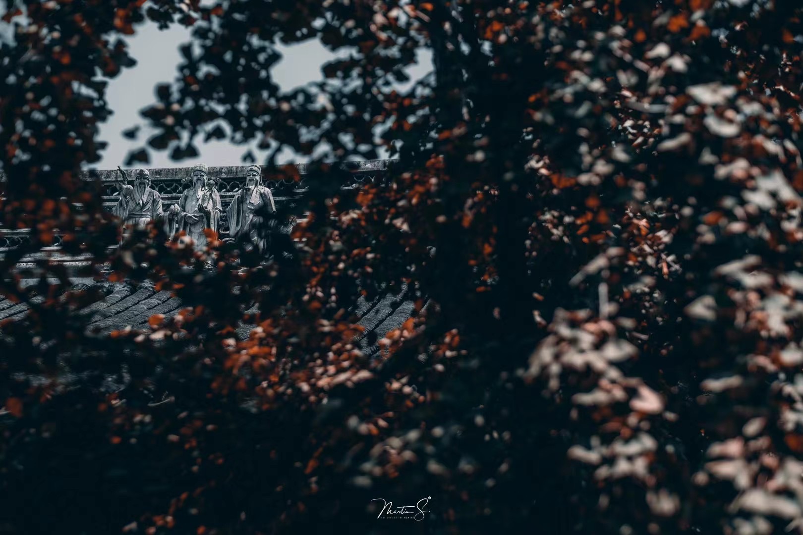 知名摄影师眼中的苏州是什么样子？_fororder_微信图片_202107061759308