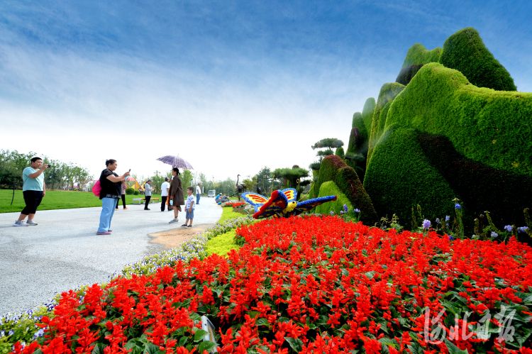 河北唐山:唐山园博园邀您游花海